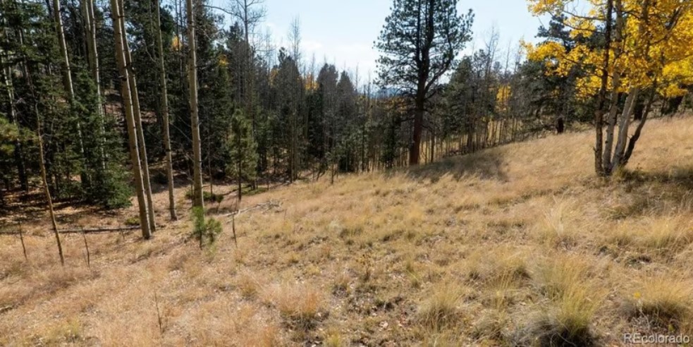 Commercial Property for Sale in Cripple Creek Colorado 80813